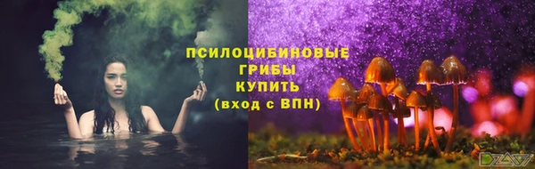прущая мука Алексин