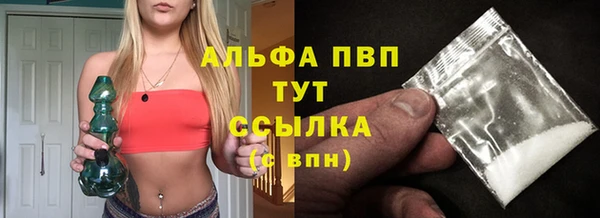 стафф Новозыбков