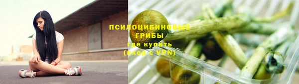соль ск Алзамай